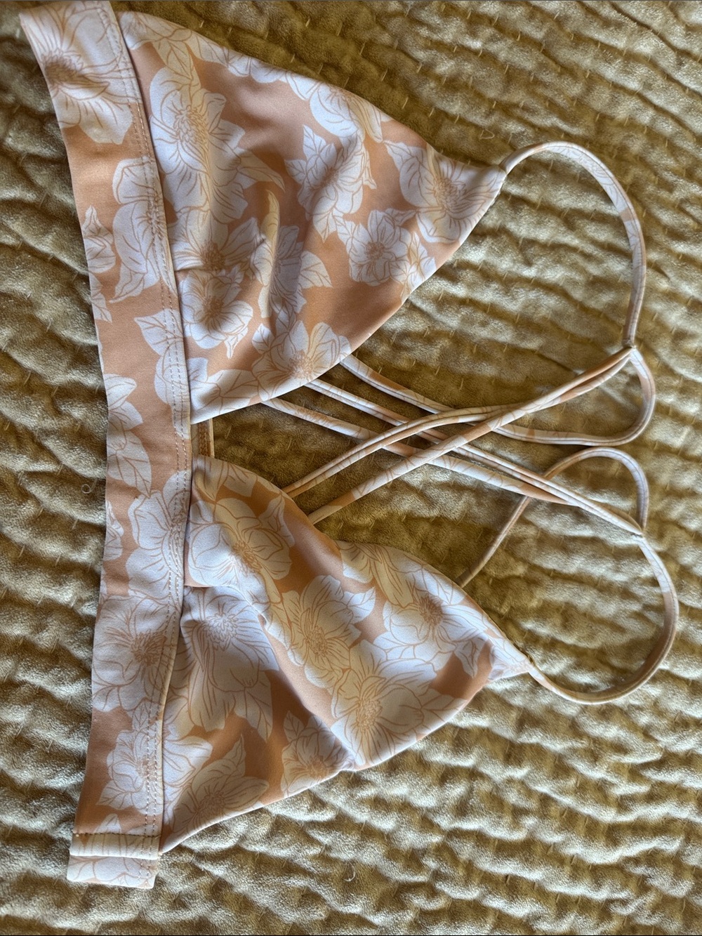 Acacia bikini - Picture 3 of 8